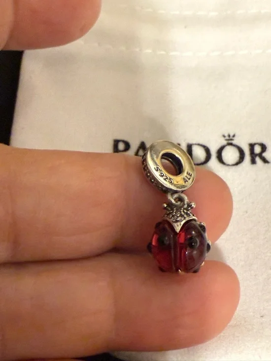 Sterling Silver Red Ladybug Charm Pendant - Picture 3 of 4